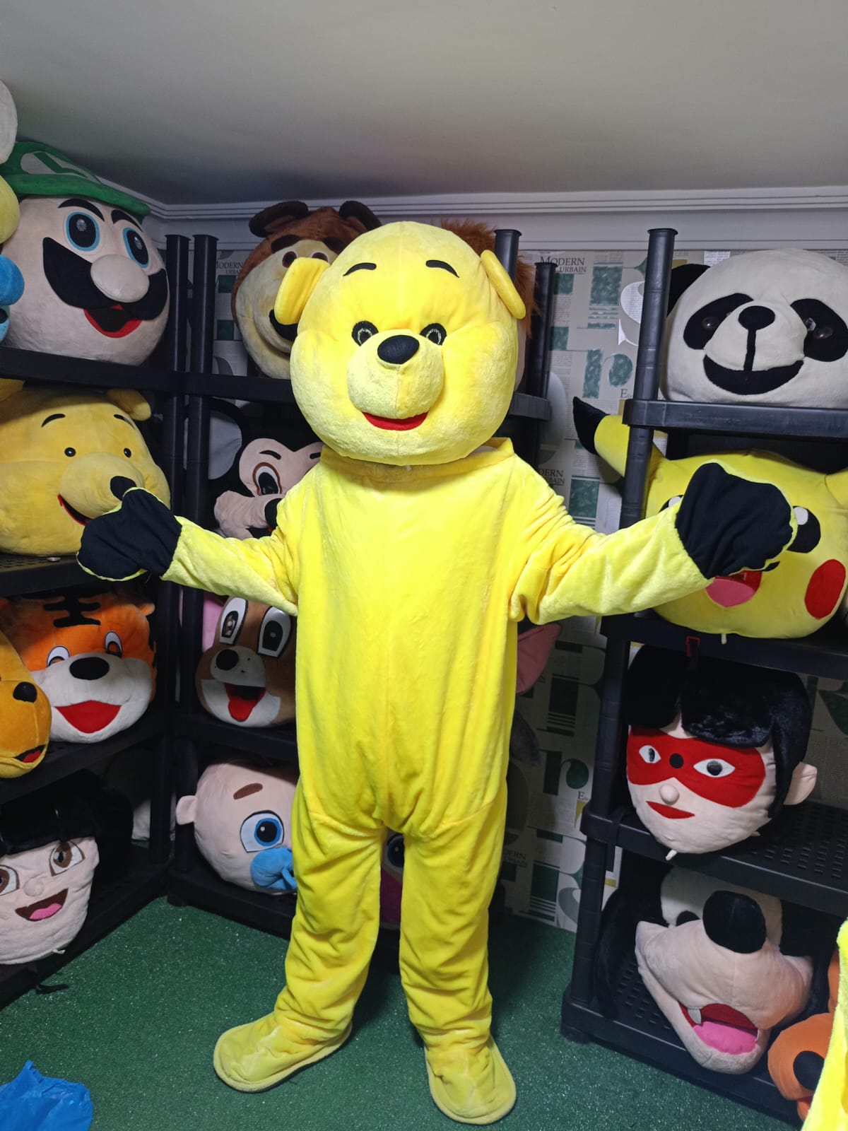 الدب الاصفر