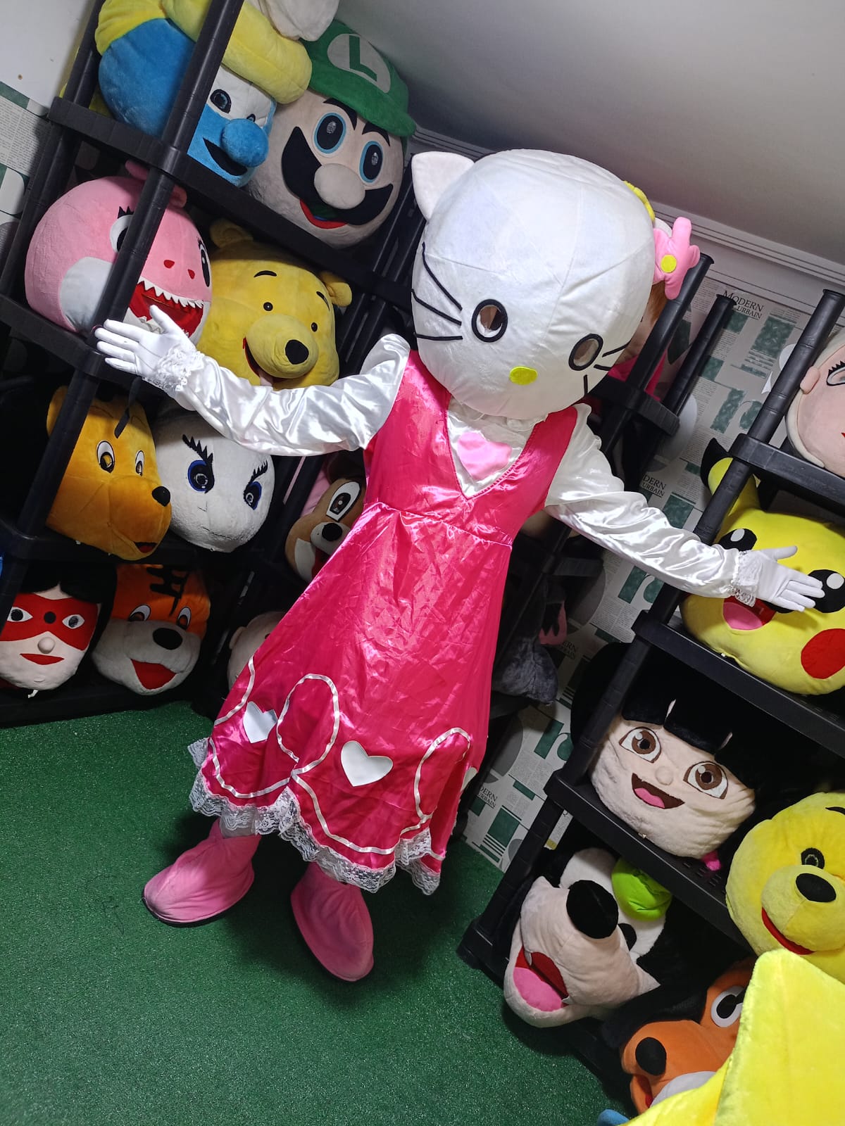 لولو كاتي رأس بلسترين